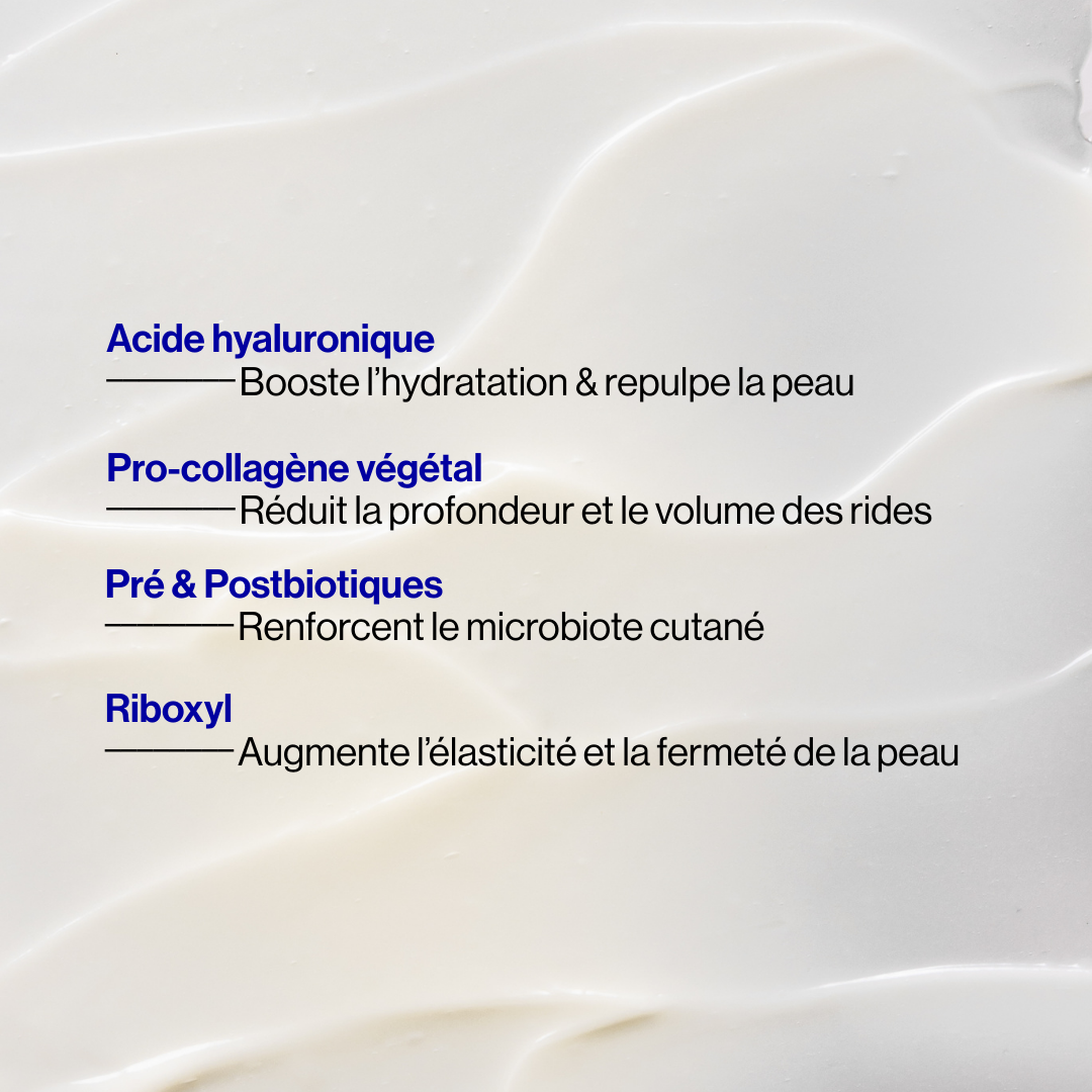 Prebiotic Regenerating Night Cream