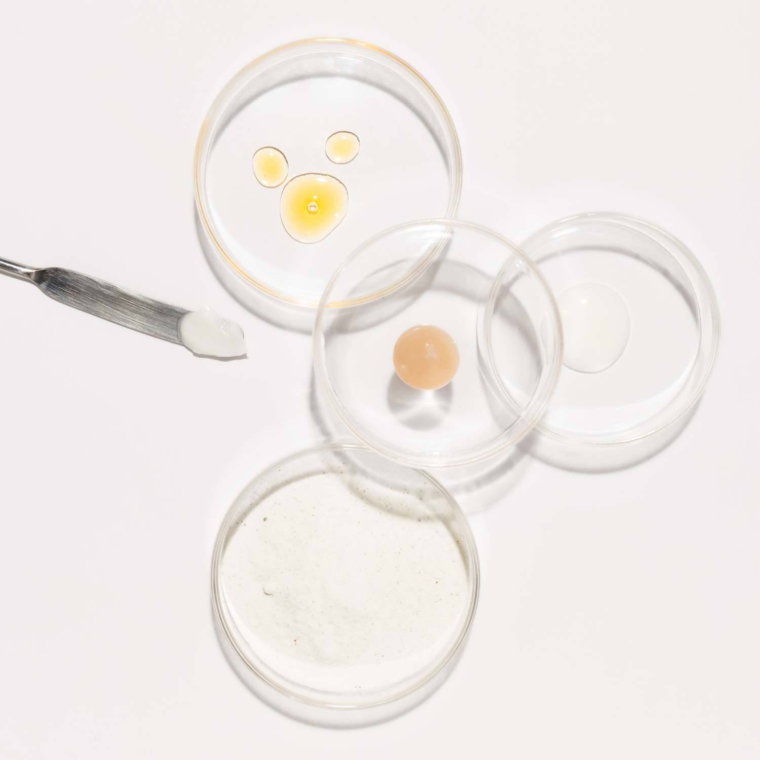Les meilleures crèmes hydratantes probiotiques en 2026