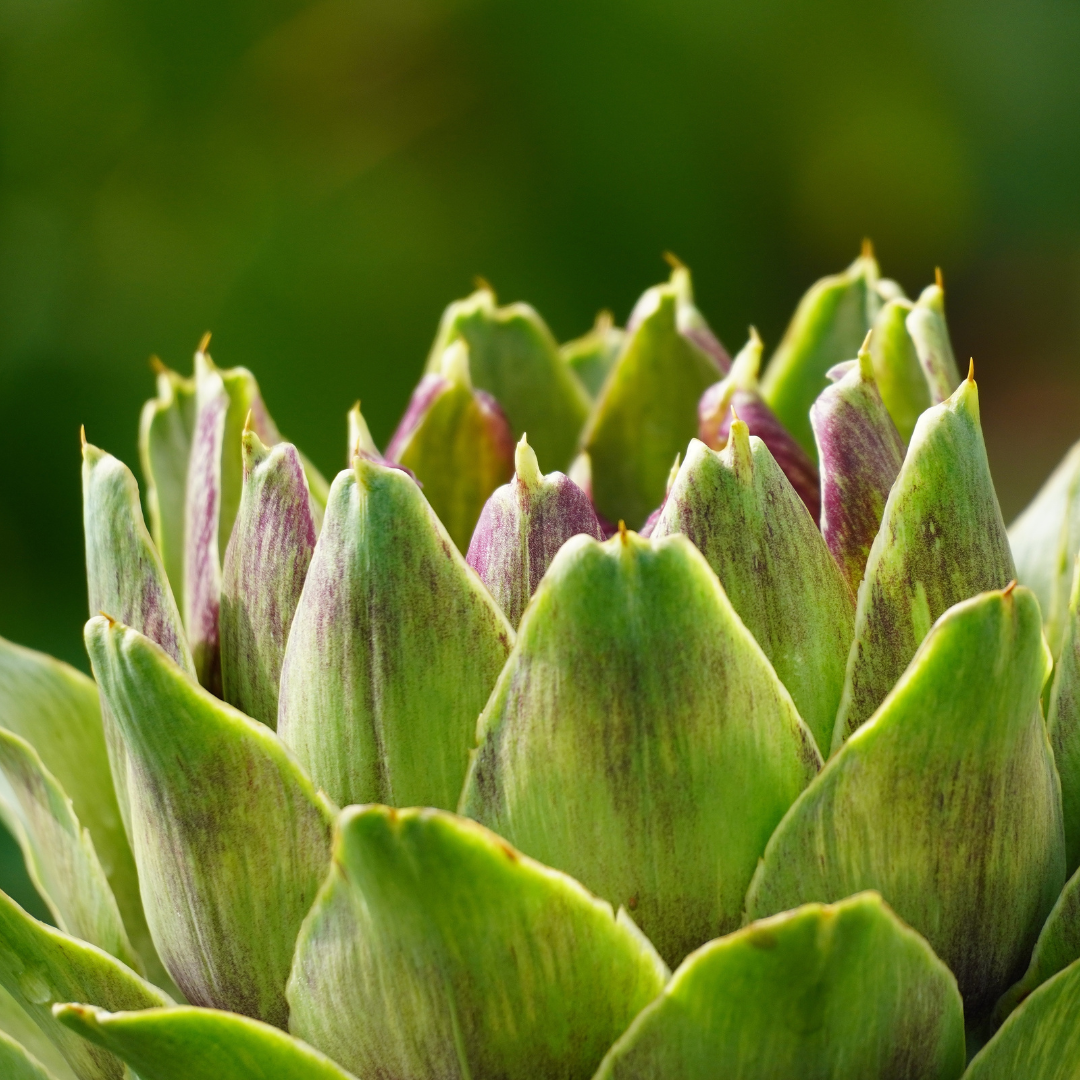 RECETTE AUX ASPERGES VERTES ET ARTICHAUTS