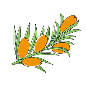 Organic sea buckthorn oil*