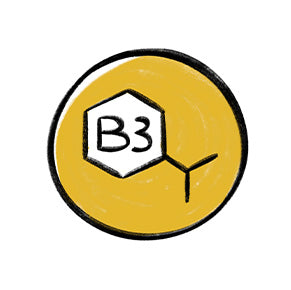 Vitamine B3